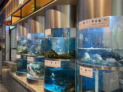 -老船舫·现做活鲜鱼馆(东郊记忆店)