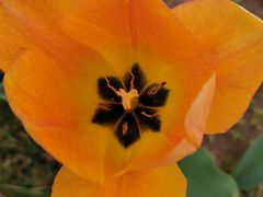 -长春公园(普阳街道)