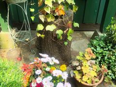 -三鹰之森吉卜力美术馆