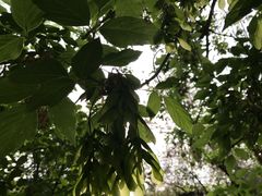 -水磨沟公园