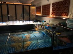 -闽海肴(北辰荟店)