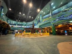 -青岛嘉年华主题乐园