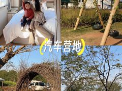 -美的鹭湖森林度假区