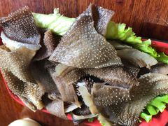 鲜毛肚-大理.老字号渝记酸萝卜乌鱼(古城总店)