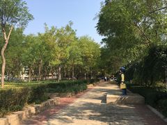 -国家动漫园