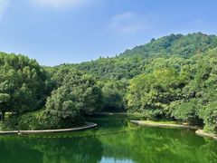 -柯岩风景区