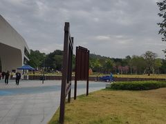 -中山市树木园