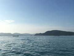 -珊瑚岛