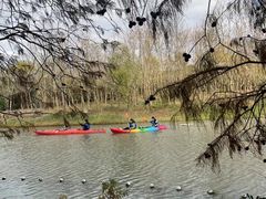 -上海海湾国家森林公园