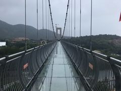 -青岛森林野生动物世界