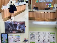 -瑞鹏宠物医院·骨科·猫科·内科(第一中心)