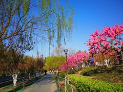-海棠花溪(元大都城垣遗址公园)