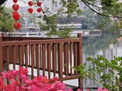 -荔湾湖公园