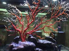 -中福古玩城(浙江中路店)