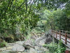 -广州白江湖森林公园