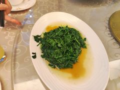 -锦江都城闵行饭店