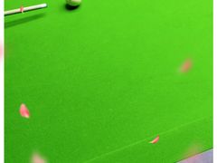 -新新潘晓婷台球俱乐部(周浦店)