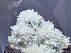 -湖南省地质博物馆