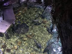 -暹罗海洋世界