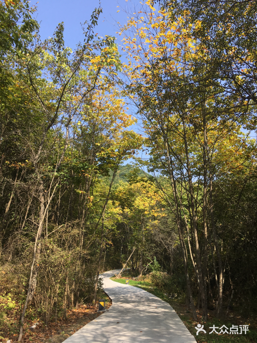 秦嶺悠然山高山溼地景區圖片