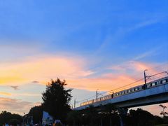 -宝安西湾红树林湿地公园