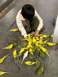 -酷嗒动物文化乐园(cutezoo西溪乐天城店)