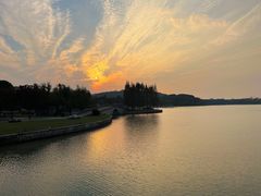 -上海月湖雕塑公园