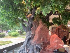 -院里寻菜·祖庵菜宴请(观沙岭店)