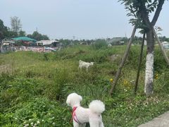 -蜀水别园(青杠树店)