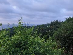 -广州市白云山风景名胜区
