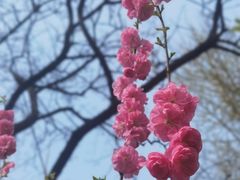 -玲珑塔公园