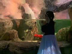 -沈阳海洋探索中心