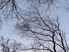 -东升文体公园