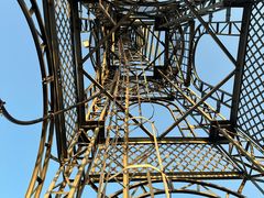 -江西阳明山国家森林公园