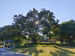 -东莞植物园