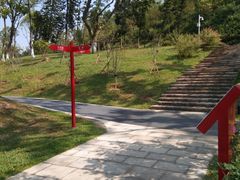 -东莞植物园