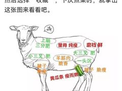 -裕德孚·非遗手切涮羊肉(东直门内大街店)