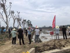 -武汉紫薇都市田园