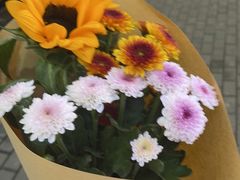 -循礼门鲜花花市(武汉循礼门店)