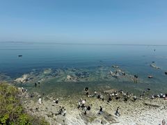 -养马岛旅游度假区