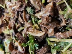 -丹东丛炟海鲜烧烤(江艺路店)