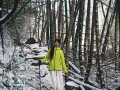 -东白山