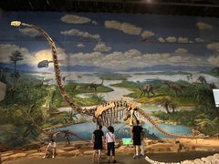 -自贡恐龙博物馆