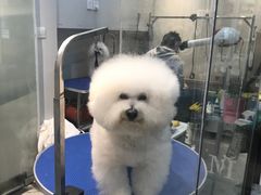 -PETKIT 小佩宠物·低压洗护·美容·寄养(安远店)