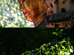 -穹窿山景区