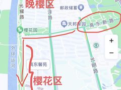 -高东镇樱花园