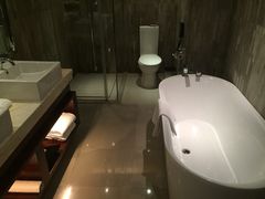 iphone_upload_pic-常州环球恐龙城维景国际大酒店