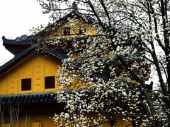 -桂林独秀峰王城景区