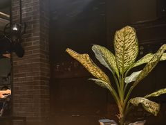 -798餐厅(任丘路店)