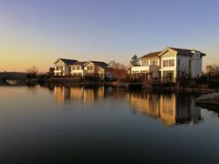 -杭州湾海上花田景区